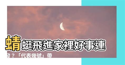 火代表幾號